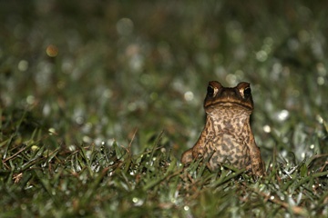 IMG_7512a.jpg